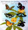 Colnect-4963-660-Butterflies-of-Central-America.jpg