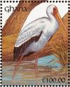 Colnect-1459-818-Yellow-billed-Stork-Mycteria-ibis.jpg