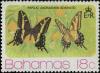 Colnect-2562-218-Bahaman-Swallowtail-Papilio-andraemon.jpg