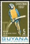 Colnect-3659-721-Blue-and-yellow-Macaw----Ara-ararauna.jpg