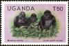 Colnect-4271-854-Mountain-Gorilla-Gorilla-beringei-beringei.jpg