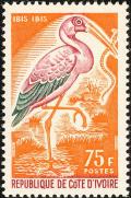 Colnect-1501-738-Yellow-billed-Stork-Mycteria-ibis.jpg