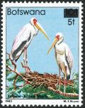 Colnect-5250-716-Yellow-billed-Stork-Mycteria-ibis.jpg