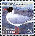 Colnect-5782-116-Black-headed-Gull---Chroicocephalus-ridibundus.jpg