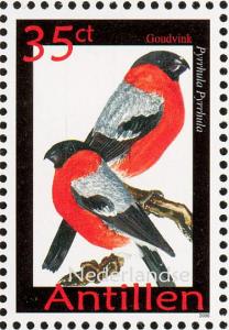 Colnect-966-972-Eurasian-Bullfinch%C2%A0Pyrrhula-pyrrhula.jpg