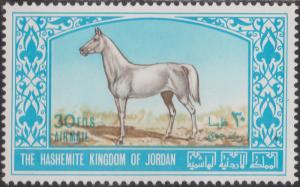 Colnect-1465-562-Arabian-Stallion-Equus-ferus-caballus.jpg