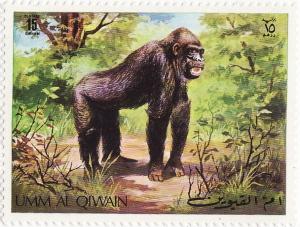 Colnect-1603-363-Gorilla-Gorilla-gorilla.jpg