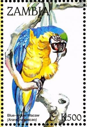 Colnect-3507-596-Blue-and-yellow-Macaw%C2%A0-%C2%A0Ara-ararauna.jpg