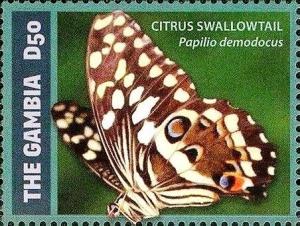 Colnect-3524-973-Citrus-Swallowtail-Papilio-demodocus.jpg