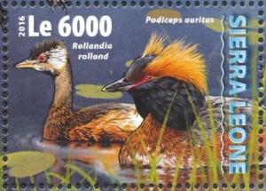 Colnect-3566-086-White-tufted-Grebe---Rollandia-rolland-and-Horned-Grebe---P%E2%80%A6.jpg