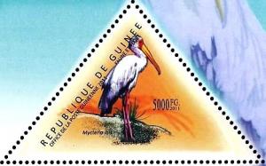 Colnect-3856-455-Yellow-billed-Stork-Mycteria-ibis.jpg