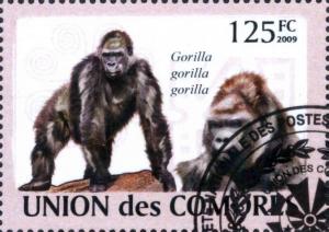 Colnect-4906-414-Gorilla-gorilla-gorilla.jpg