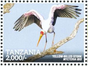 Colnect-5935-609-Yellow-billed-Stork-Mycteria-ibis.jpg