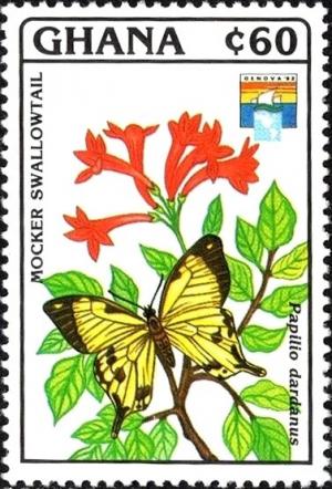 Colnect-5994-581-Mocker-Swallowtail-Papilio-dardanus.jpg