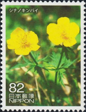 Colnect-6185-391-Japanese-Troll-Flower-Trollius-japonicus.jpg