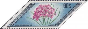 Colnect-901-366-Allium-mongolicum.jpg