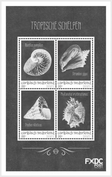 Colnect-4992-810-Sea-Shells-in-Black-and-White.jpg