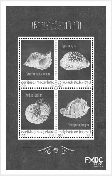 Colnect-4992-811-Sea-Shells-in-Black-and-White.jpg