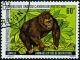 Colnect-1204-938-Gorilla-Gorilla-gorilla.jpg