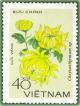 Colnect-1627-153-Yellow-chrysanthemum.jpg