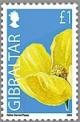 Colnect-1941-968-Yellow-Horned-poppy.jpg