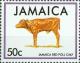 Colnect-3690-188-Jamaica-Red-Poll-Calf-Bos-primigenius-taurus.jpg