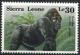 Colnect-4221-183-Gorilla-Gorilla-gorilla.jpg