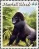 Colnect-6004-569-Gorilla-Gorilla-gorilla.jpg