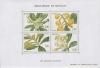 Colnect-149-074-Branch-of-a-loquat-in-the-four-seasons.jpg
