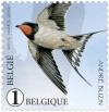 Colnect-3359-238-Swallow-Hirundo-rustica.jpg