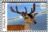 Colnect-3430-538-Fallow-Deer-Dama-dama.jpg