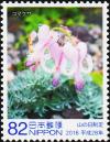 Colnect-5829-254-Komakusa-Flowers-Dicentra-peregrina.jpg