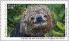 Colnect-6104-878-Maned-Sloth-Bradypus-torquatus.jpg