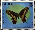 Colnect-4828-605-Black-Swallowtail-Papilio-polixenes.jpg