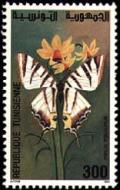 Colnect-556-416-Scarce-Swallowtail-Papilio-podalirius.jpg