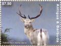 Colnect-6446-187-Fallow-Deer-Dama-dama.jpg