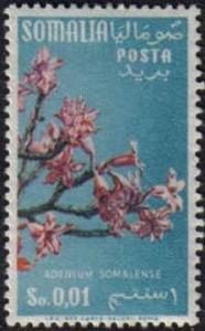 Colnect-1275-592-Flower-Apocynacae.jpg