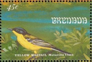 Colnect-2192-543-Western-Yellow-Wagtail-Motacilla-flava.jpg