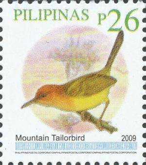 Colnect-2876-063-Mountain-Tailorbird-Orthotomus-cuculatus.jpg