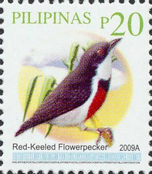 Colnect-2876-076-Red-keeled-Flowerpecker-Dicaeum-australe.jpg