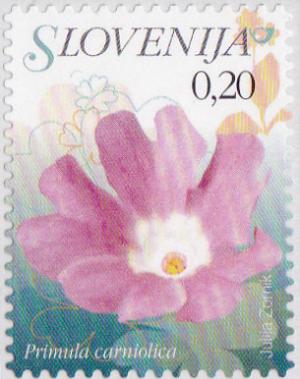 Colnect-3011-577-Flowers-of-Slovenia---Primula-carniolica.jpg