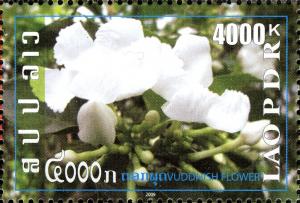 Colnect-3073-664-Lao-Flowers---Mari-Flower.jpg