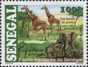 Colnect-3251-080-Giraffe-Giraffa-camelopardalis-African-Elephant-Loxodont.jpg