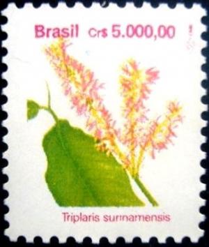 Colnect-5199-031-Brazilian-Flora-Triplaris-surinamensis.jpg