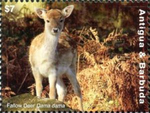 Colnect-6446-184-Fallow-Deer-Dama-dama.jpg