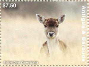 Colnect-6446-190-Fallow-Deer-Dama-dama.jpg