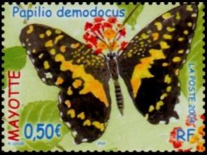 Colnect-851-152-Citrus-Swallowtail-Papilio-demodocus.jpg