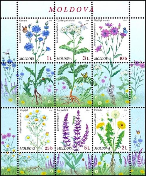Colnect-3267-957-Flora-Wild-Flowers.jpg