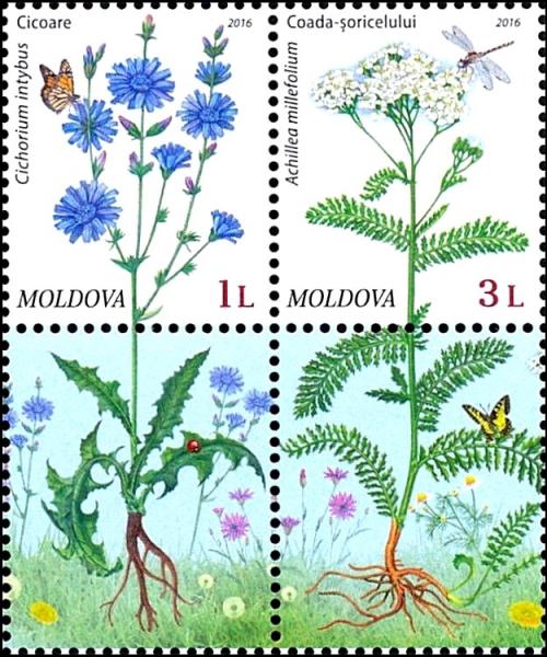 Colnect-3267-949-Flora-Wild-Flowers.jpg
