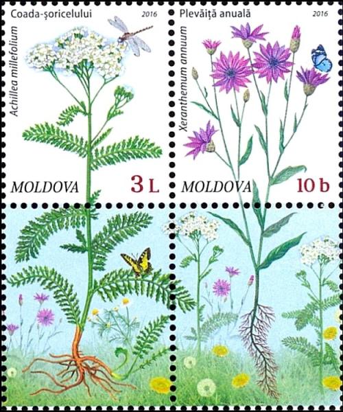 Colnect-3267-950-Flora-Wild-Flowers.jpg